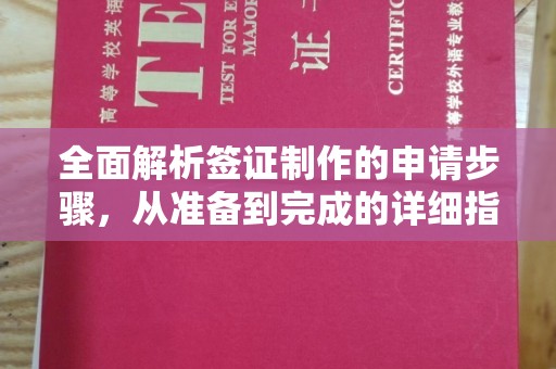 遂溪全面解析签证制作的申请步骤，从准备到完成的详细指南